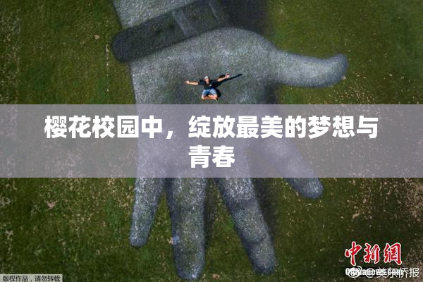 樱花校园中，绽放最美的梦想与青春