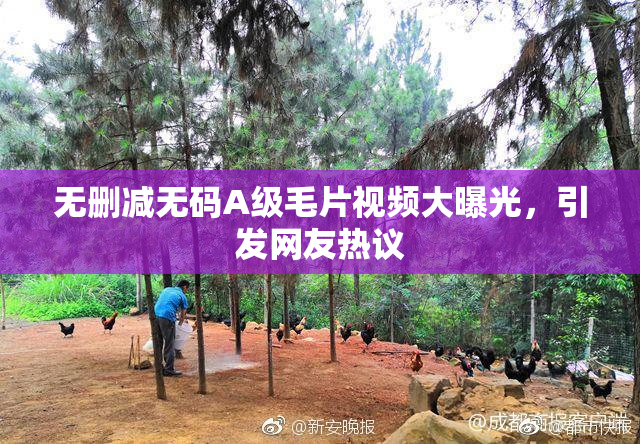 无删减无码A级毛片视频大曝光，引发网友热议