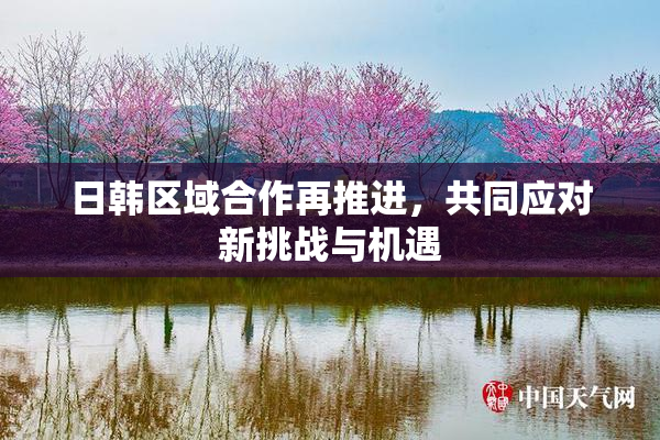 日韩区域合作再推进，共同应对新挑战与机遇