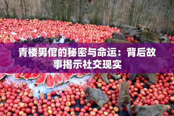 青楼男倌的秘密与命运：背后故事揭示社交现实