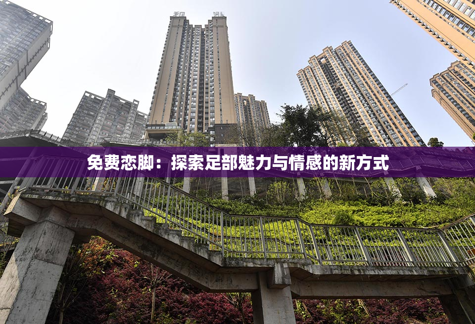 免费恋脚：探索足部魅力与情感的新方式
