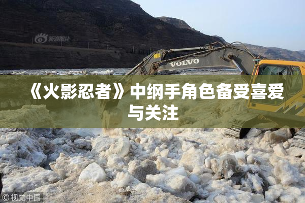 《火影忍者》中纲手角色备受喜爱与关注