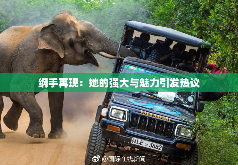 纲手再现：她的强大与魅力引发热议