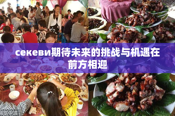 ceкеви期待未来的挑战与机遇在前方相迎