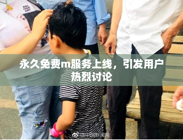 永久免费m服务上线，引发用户热烈讨论