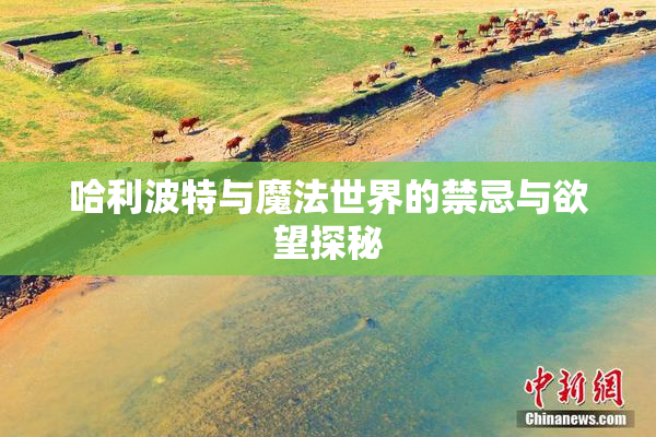 哈利波特与魔法世界的禁忌与欲望探秘