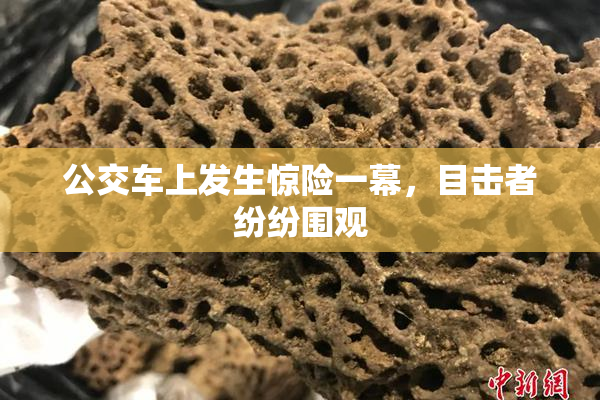 公交车上发生惊险一幕，目击者纷纷围观