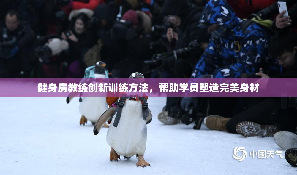 健身房教练创新训练方法，帮助学员塑造完美身材