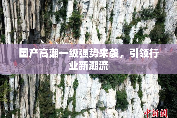 国产高潮一级强势来袭，引领行业新潮流