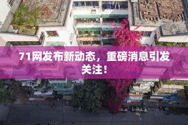71网发布新动态，重磅消息引发关注！