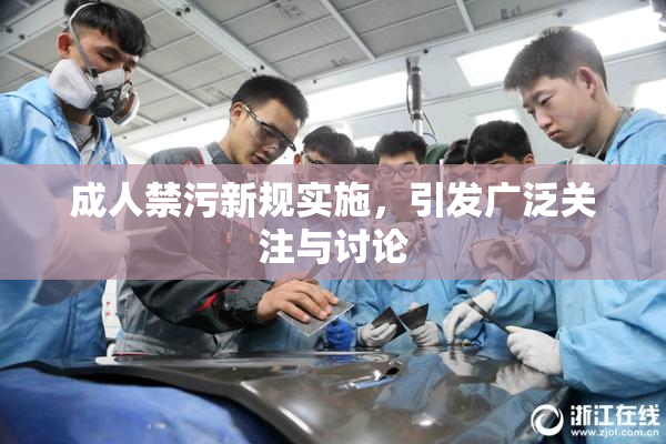 成人禁污新规实施，引发广泛关注与讨论