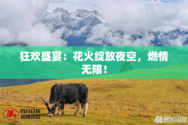 狂欢盛宴：花火绽放夜空，燃情无限！