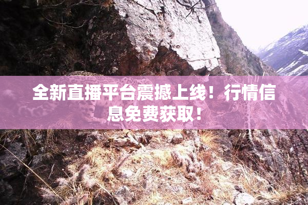 全新直播平台震撼上线！行情信息免费获取！