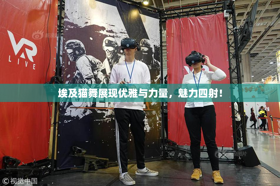 埃及猫舞展现优雅与力量，魅力四射！