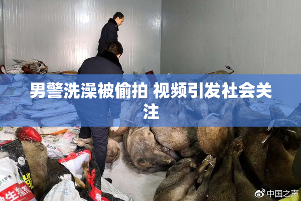 男警洗澡被偷拍 视频引发社会关注