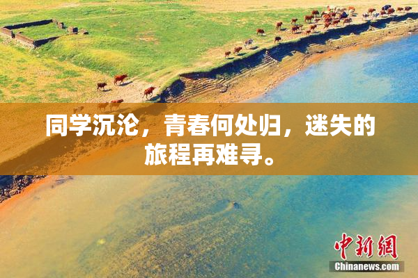 同学沉沦，青春何处归，迷失的旅程再难寻。