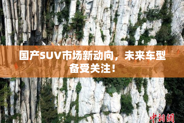 国产SUV市场新动向，未来车型备受关注！