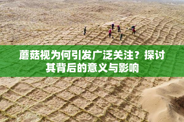 蘑菇视为何引发广泛关注？探讨其背后的意义与影响