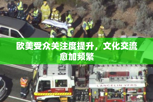欧美受众关注度提升，文化交流愈加频繁