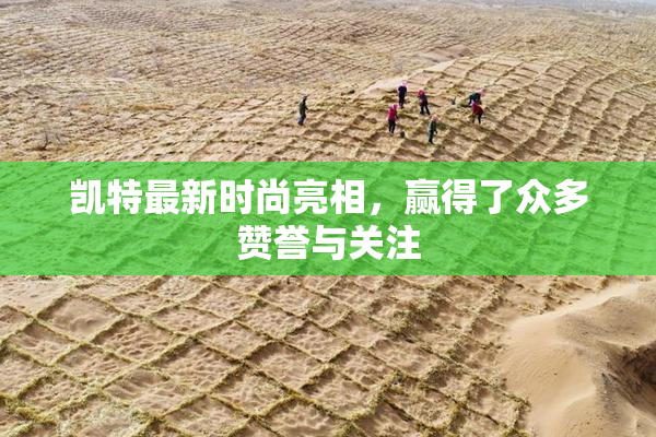 凯特最新时尚亮相，赢得了众多赞誉与关注