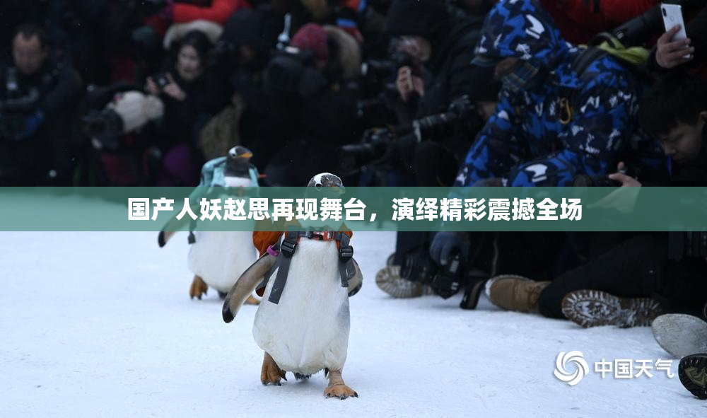 国产人妖赵思再现舞台，演绎精彩震撼全场