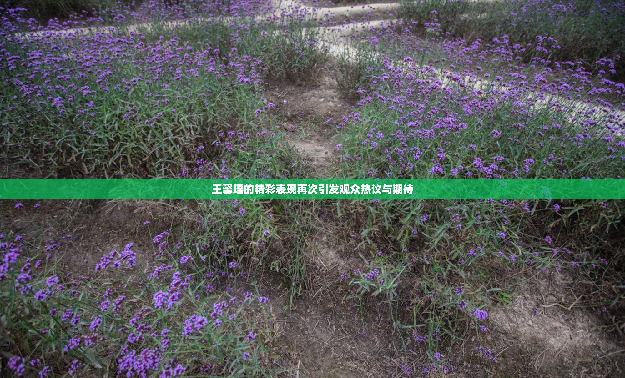 王馨瑶的精彩表现再次引发观众热议与期待