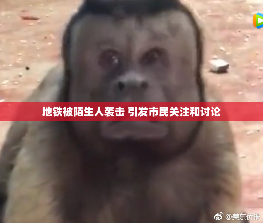 地铁被陌生人袭击 引发市民关注和讨论