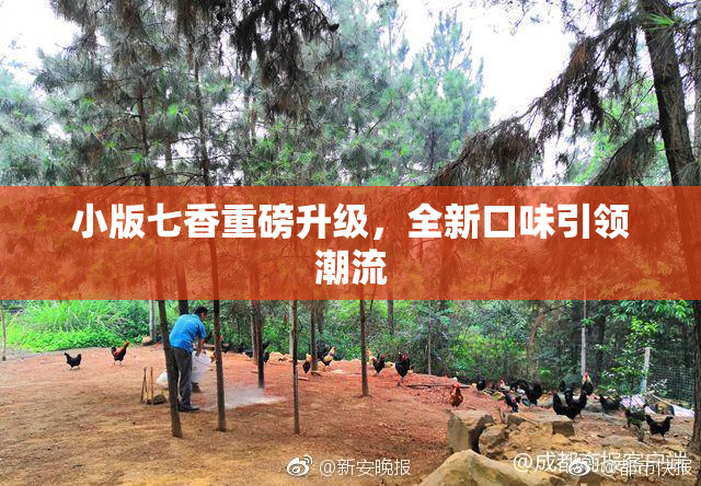 小版七香重磅升级，全新口味引领潮流