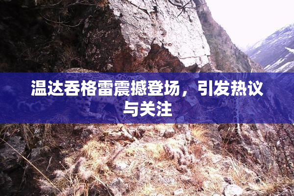 温达吞格雷震撼登场，引发热议与关注