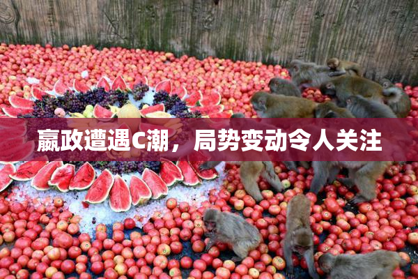 嬴政遭遇C潮，局势变动令人关注