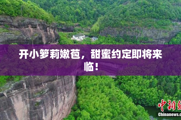开小箩莉嫩苞，甜蜜约定即将来临！