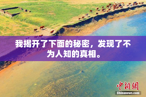 我揭开了下面的秘密，发现了不为人知的真相。