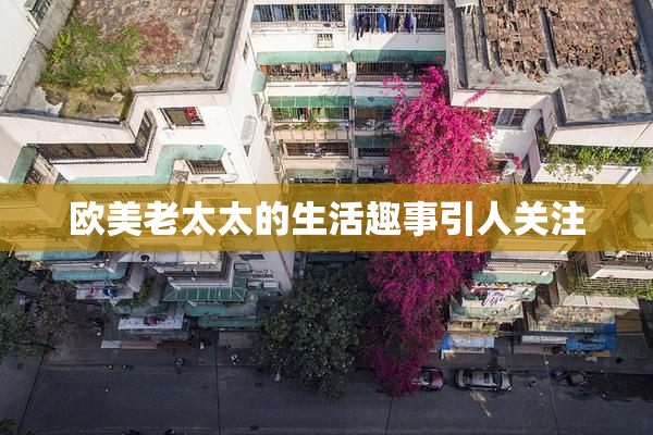 欧美老太太的生活趣事引人关注