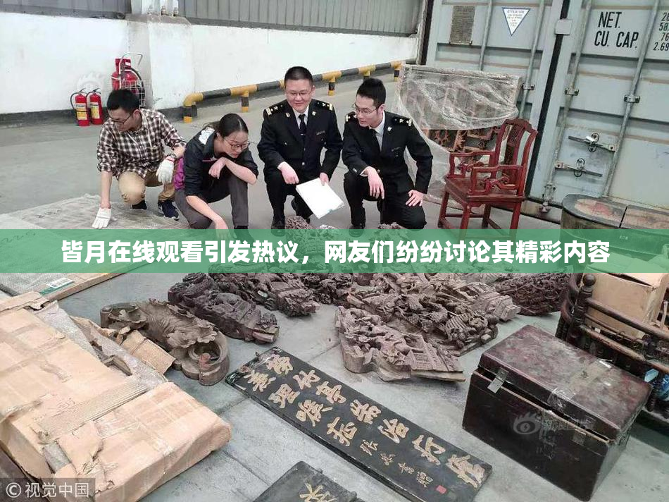 皆月在线观看引发热议，网友们纷纷讨论其精彩内容