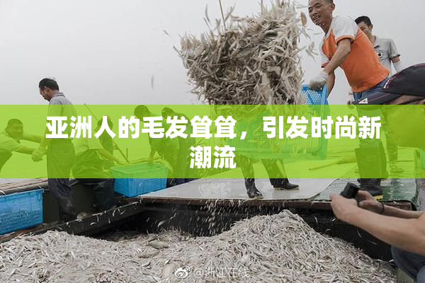 亚洲人的毛发耸耸，引发时尚新潮流