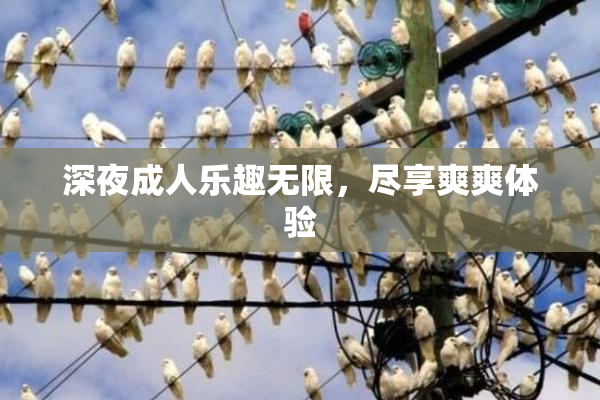 深夜成人乐趣无限，尽享爽爽体验