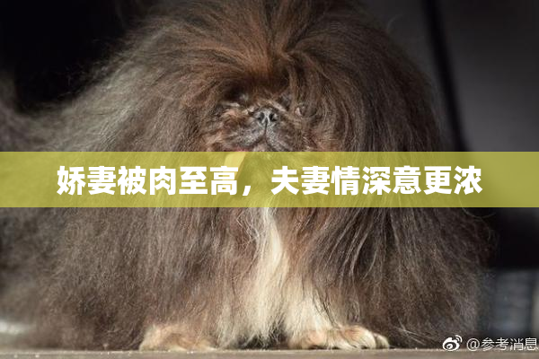 娇妻被肉至高，夫妻情深意更浓