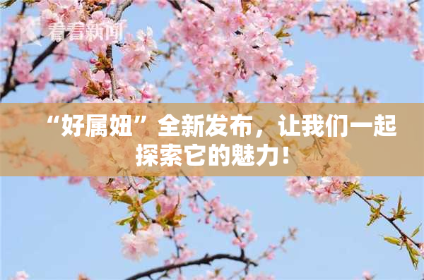 “好属妞”全新发布，让我们一起探索它的魅力！