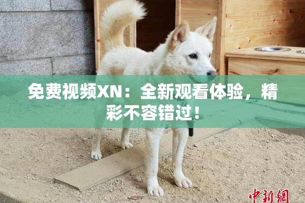 免费视频XN：全新观看体验，精彩不容错过！