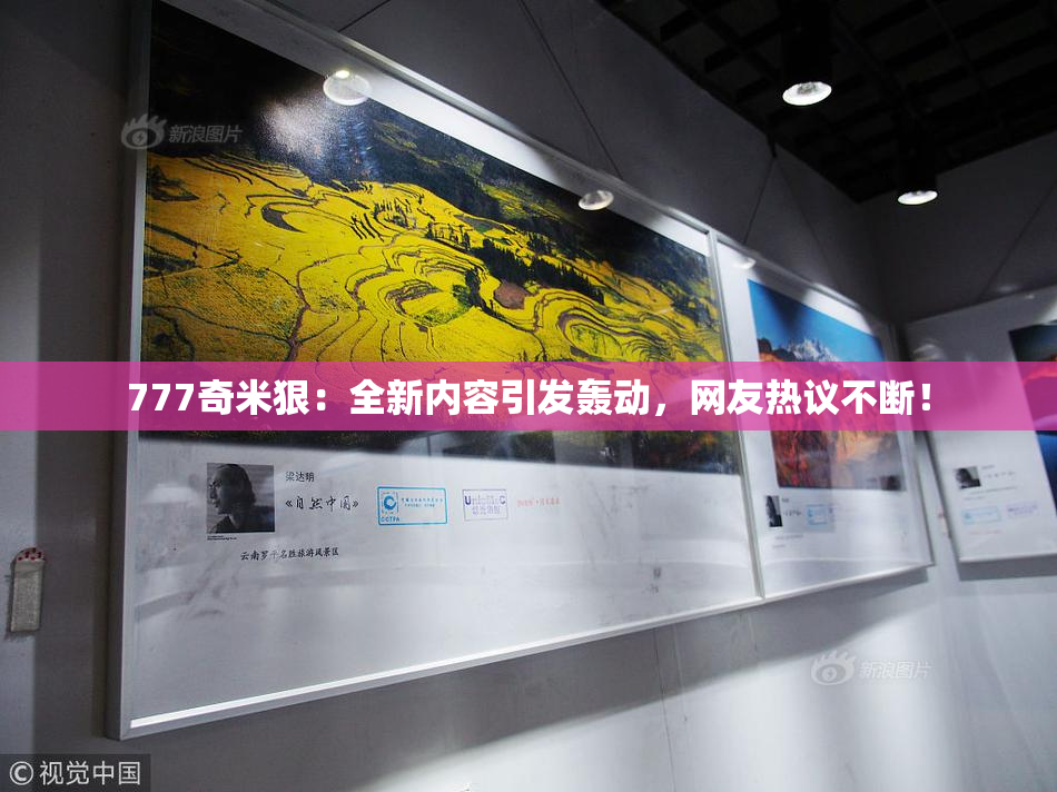 777奇米狠：全新内容引发轰动，网友热议不断！