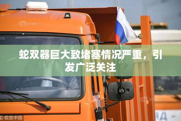 蛇双器巨大致堵塞情况严重，引发广泛关注