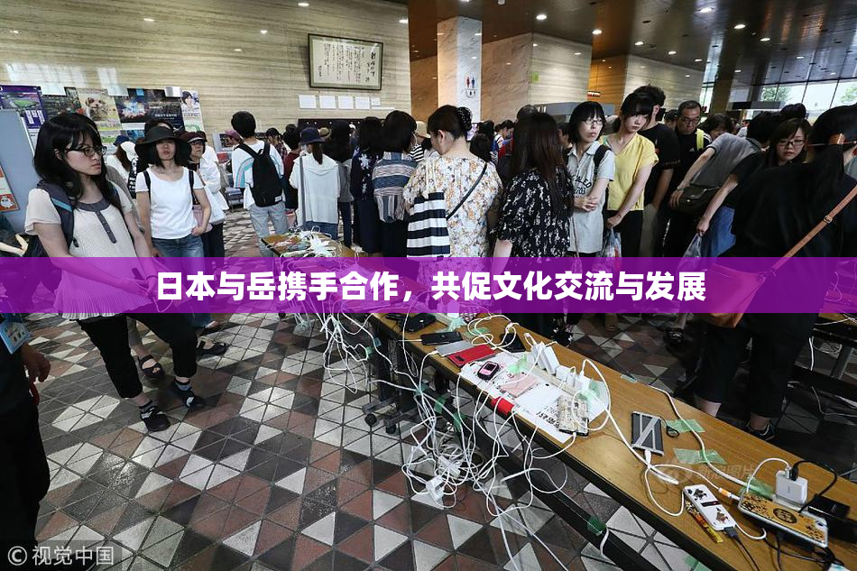 日本与岳携手合作，共促文化交流与发展