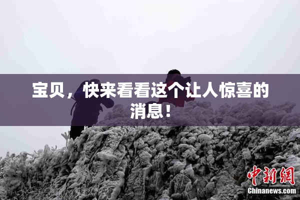 宝贝，快来看看这个让人惊喜的消息！