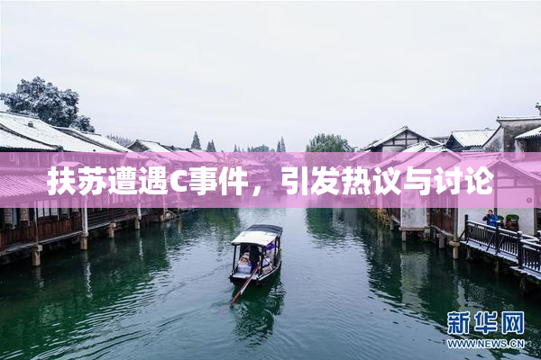 扶苏遭遇C事件，引发热议与讨论