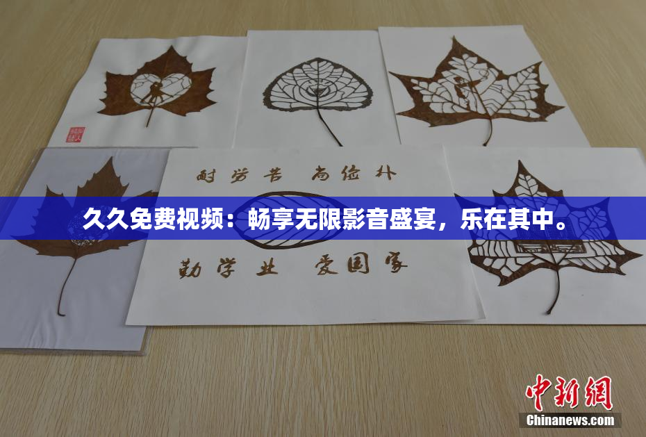 久久免费视频：畅享无限影音盛宴，乐在其中。