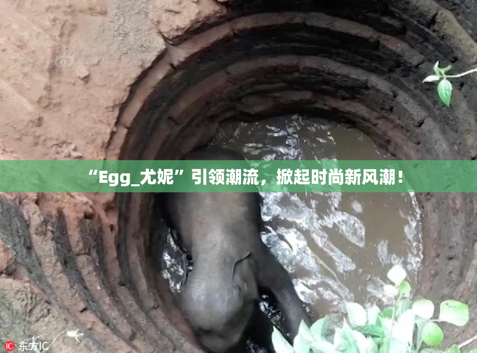 “Egg_尤妮”引领潮流，掀起时尚新风潮！