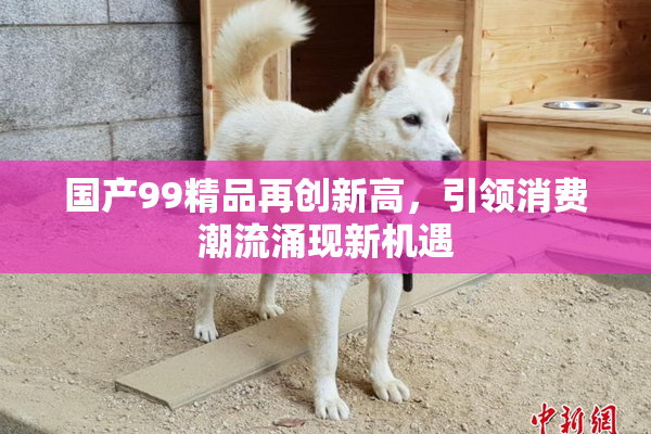 国产99精品再创新高，引领消费潮流涌现新机遇
