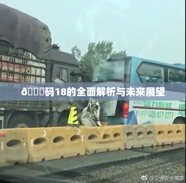 🈚码18的全面解析与未来展望