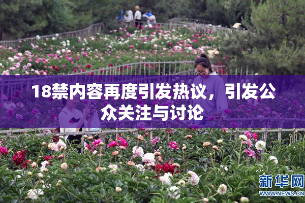 18禁内容再度引发热议，引发公众关注与讨论