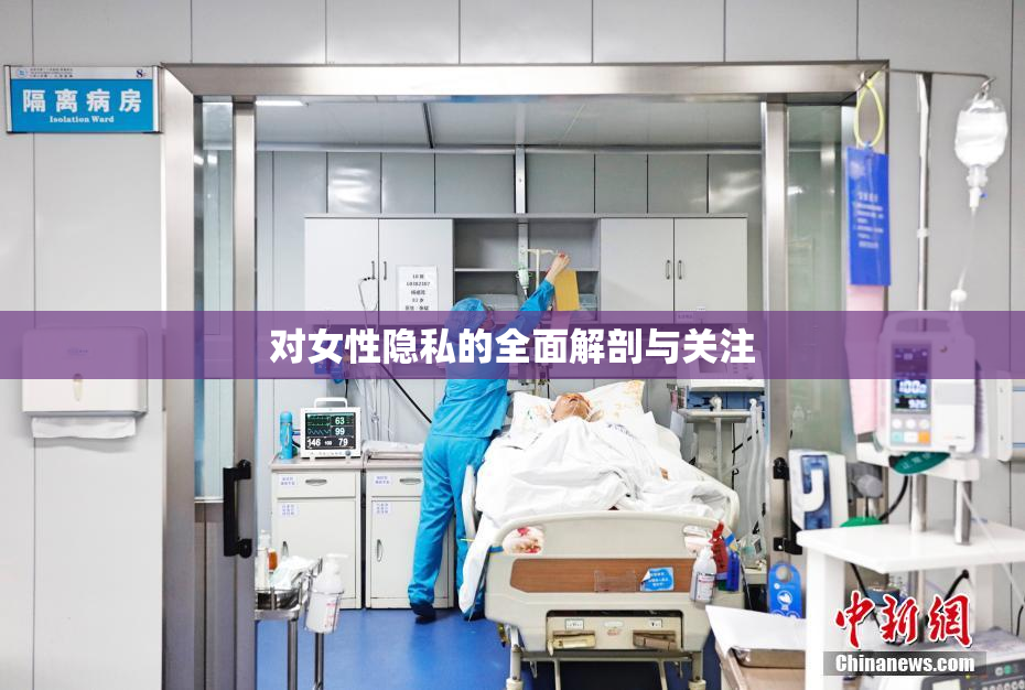 对女性隐私的全面解剖与关注